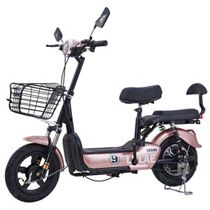 LULAE Electric Bicycle จักรยานไฟฟ้า V9
