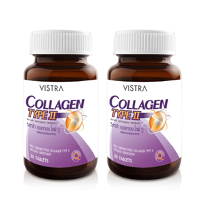 VISTRA COLLAGEN TYPE II