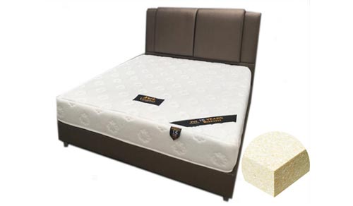 Ucomfort (ยูคอมฟอร์ท) ที่นอนสปริง  รุ่น premuim