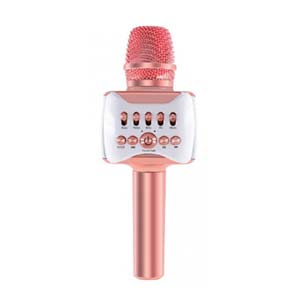 AJ รุ่น PM-001 Karaoke ไมโครโฟนไร้สาย