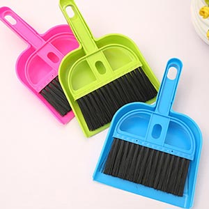 ProClean แปรงพร้อมที่โกยผง แปรงปัดฝุ่น พร้อมที่ตักผง