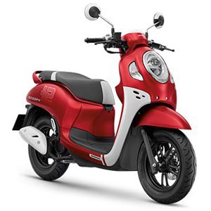 All New Scoopy