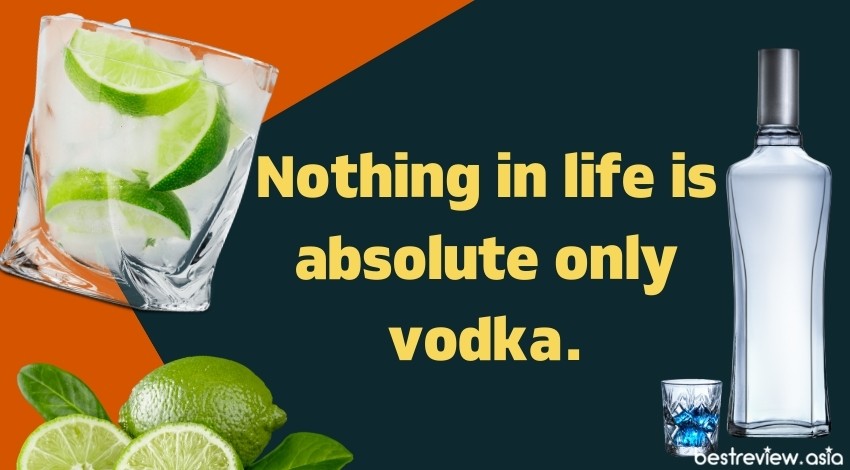 Nothing in life is absolute only vodka.ชีวิตนี้ไม่มีอะไรแน่นอน ยกเว้นวอดก้า