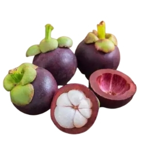 ของฝากนครศรีธรรมราช มังคุด