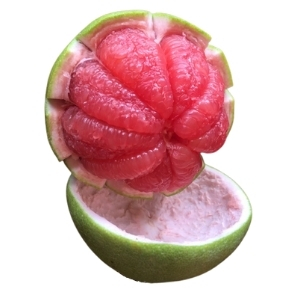 ของฝากนครศรีธรรมราช ส้มโอทับทิมสยาม