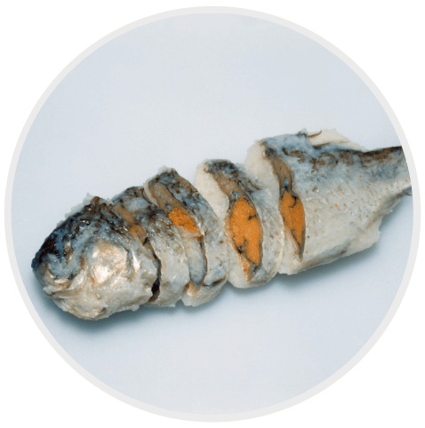 ประเภทของซูชิ Narezushi