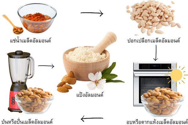 การทำแป้งอัลมอนด์ วิธีทำแป้งอัลมอนด์ แป้งอัลมอนด์