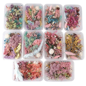 ดอกไม้แห้งสำหรับงานฝีมือ​ งาน​ DIY