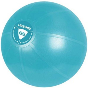 FBT LIVEPRO บอลบริหาร ANI-BURST65 LS 8201/65