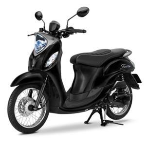 Fino [2021]