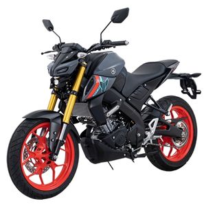 MT-15 [2021]