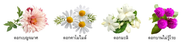 ดอกไม้ที่ใช้ในชา