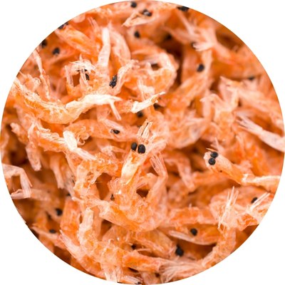 กุ้งบาง