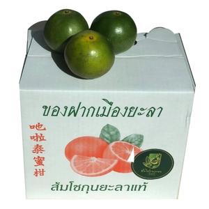 ส้มโชกุนเบตง ผลไม้ประจำจังหวัดยะลา