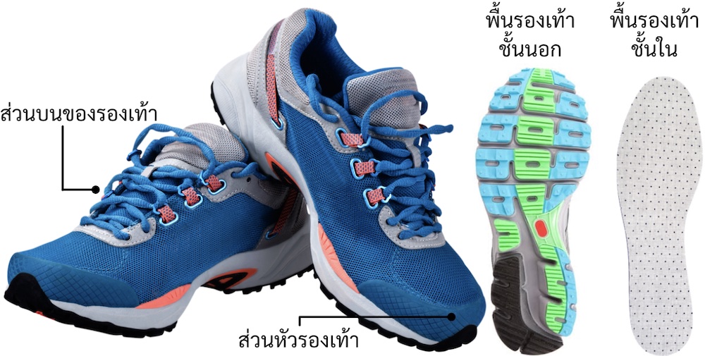 ส่วนประกอบรองเท้า