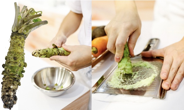 wasabi วาซาบิแท้ ขุดสด ๆ