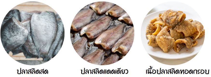 ประเภทของปลาสลิดแดดเดียว