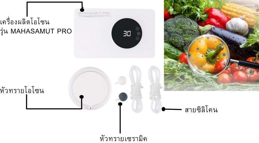 Ozone Generator เครื่องล้างผักโอโซน รุ่น MAHASAMUT PRO