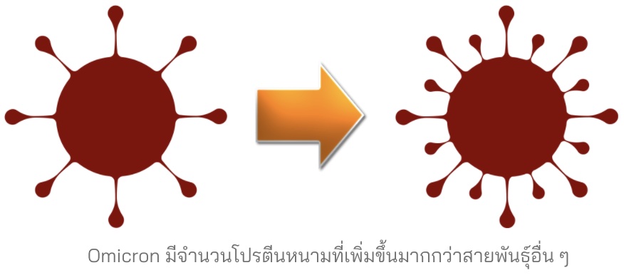 ภาพจำลองโปรตีนหนามเชื้อไวรัสโอไมครอนสายพันธุ์ใหม่
