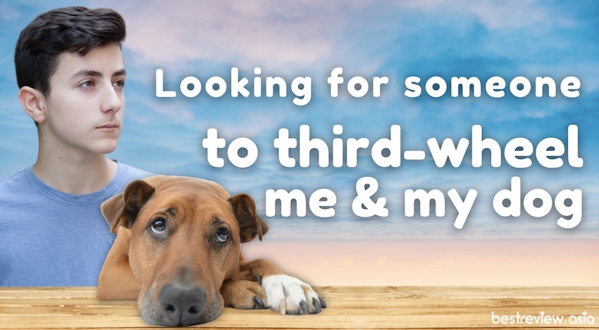 Looking for someone to third-wheel me and my dog. กำลังมองหามือที่สามที่จะเข้ามาแทรกกลางระหว่างผมกับสุนัขตัวโปรด