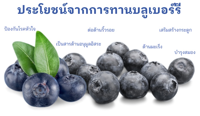 ประโยชน์ของการทานบลูเบอร์รี