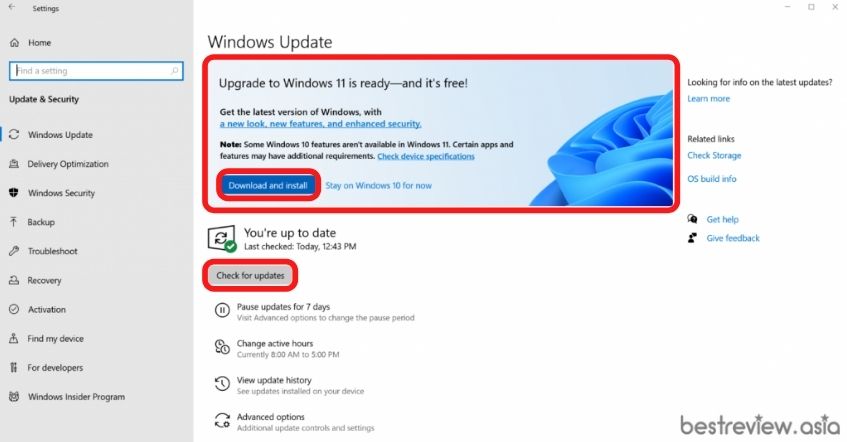 Windows Update