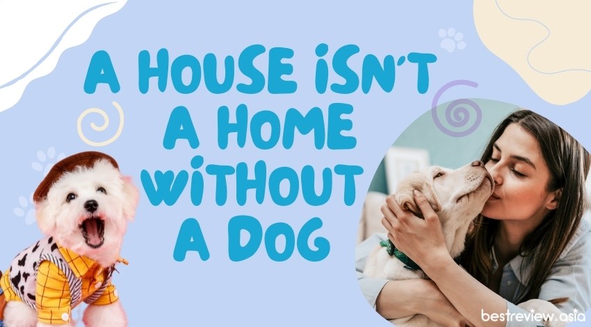 A house isn't a home without a dogถ้าไม่มีหมา บ้านทั้งหลังก็ดูว่างเปล่า