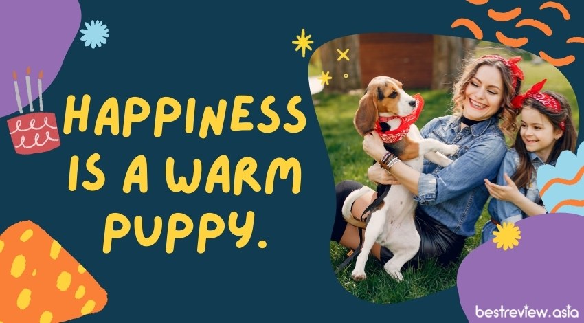 Happiness is a warm puppy.ความสุขของฉันคือการได้กอดเจ้าหมาตัวอุ่น ๆ