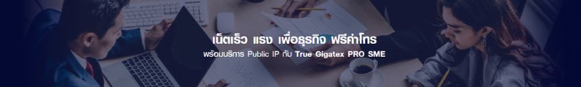 True Gigatex PRO SME
