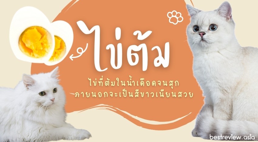 ไข่ต้มไข่ที่ต้มในน้ำเดือดจนสุก ภายนอกจะเป็นสีขาวเนียนสวย