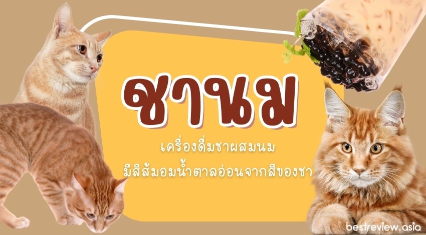 ชานมเครื่องดื่มชาผสมนม มีสีส้มอมน้ำตาลอ่อนจากสีของชา