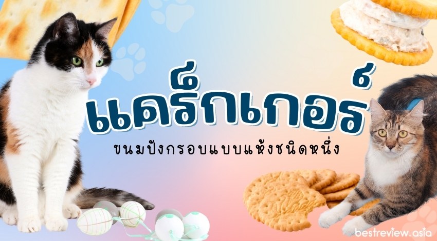 แคร็กเกอร์ขนมปังกรอบแบบแห้งชนิดหนึ่ง