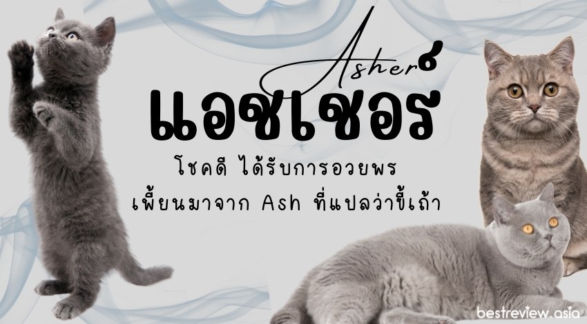 แอชเชอร์ (Asher)แปลว่าโชคดี ได้รับการอวยพร เล่นเสียงมาจากคำว่า แอช (Ash) ที่แปลว่าขี้เถ้า ในภาษาอังกฤษ