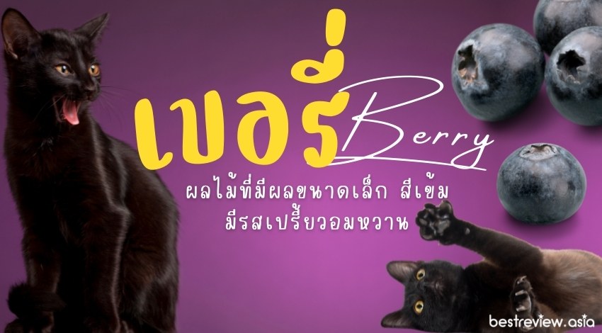 เบอรี่ (Berry)ชื่อของตระกูลผลไม้ที่มีผลขนาดเล็ก สีสดใส มีรสเปรี้ยว หรือหวาน