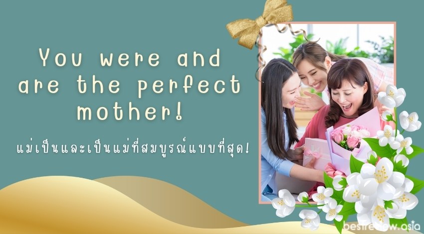You were and are the perfect mother!แม่เป็นและเป็นแม่ที่สมบูรณ์แบบที่สุด!