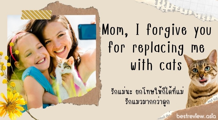 Mom, I forgive you for replacing me with catsรักแม่นะ ยกโทษให้ก็ได้ที่แม่รักแมวมากกว่าลูก