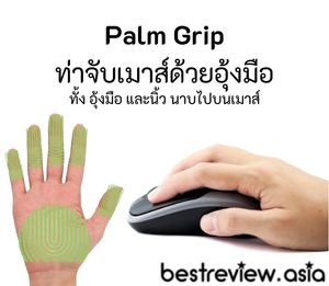 ท่าจับเมาส์ด้วยอุ้งมือ (Palm Grip)