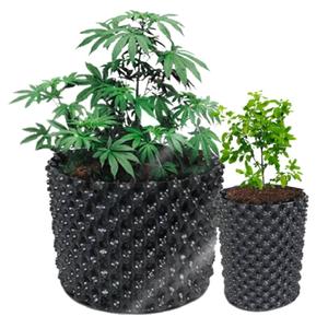 Spring Green Evolution กระถางต้นไม้ กระถางดอกไม้ Air Pot