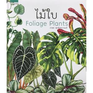 ไม้ใบไม้ด่าง Foliage & Variegated Plants : บ้านและสวน