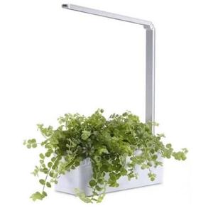 เครื่องปลูกผักไฮโดรโปนิกส์ แบบ2กระถาง พร้อมไฟ LED