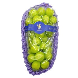 องุ่นไซมัสคัส (Shinemuscat) นำเข้าจากต่างประเทศสายพันธุ์ญี่ปุ่น