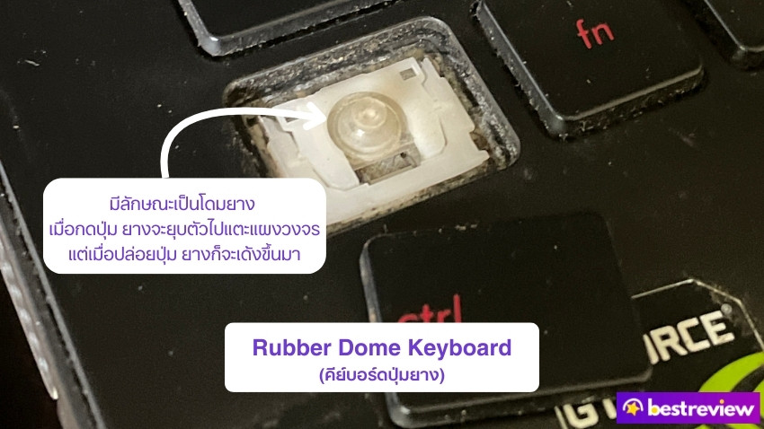 คีย์บอร์ดปุ่มยาง (Rubber Dome หรือ Membrane Keyboard)